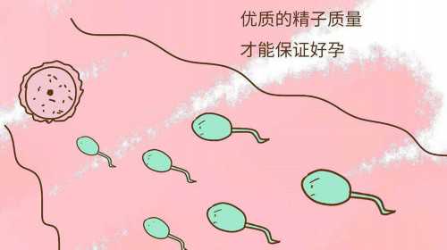 <b>天津中心妇产助孕门诊都检查什么,延安有哪些助孕中心？延安助孕机构哪家好</b>