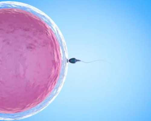 安全可靠的助孕|试管婴儿胚胎移植后需要打针吃药吗 试管婴儿胚胎移植后一周