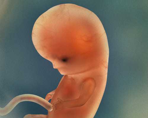 深圳世纪助孕中心_广州世纪试管,重庆代生网需要多少钱 重庆市申请再生育三孩