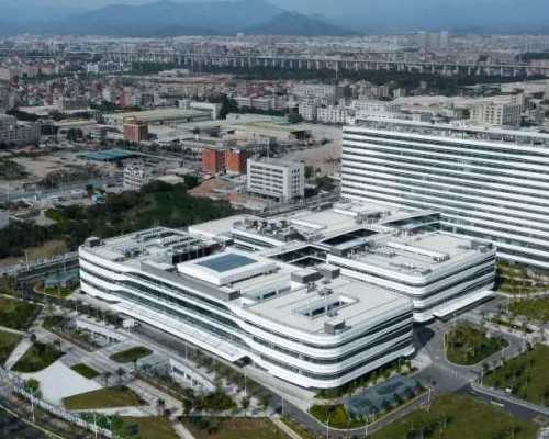 女性患巧囊会影响怀孕吗~代生女儿