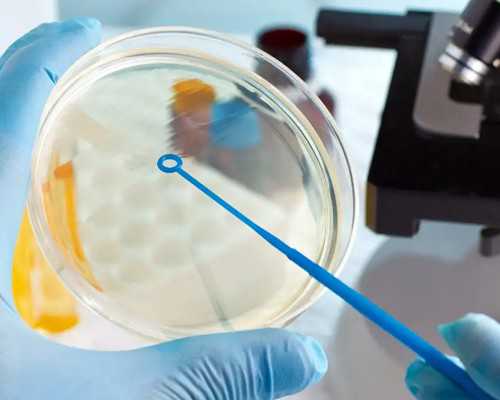 解读云南三代试管助孕费用与机构，探索代生代怀宝宝公司与借卵试管套餐