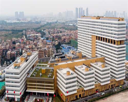 无锡私人试管助孕微信群揭秘：流程与真实性