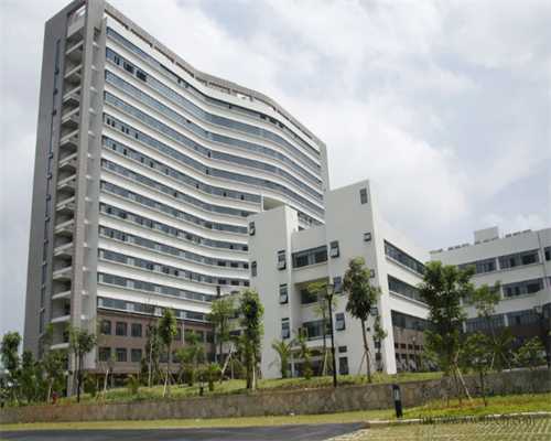 中国南方助孕网价格|广州宝贝计划试管（广州助孕公司如何选择）