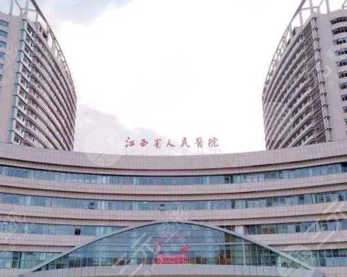 探究助孕求子生男生女：江西最大助孕公司优贝贝的寻找之道