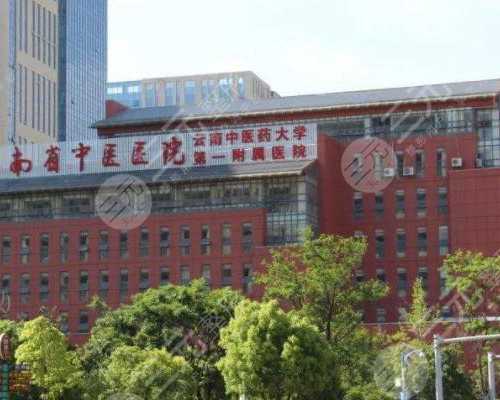 鲜胚移植12天白板仍有希望？了解试管助孕的成功率