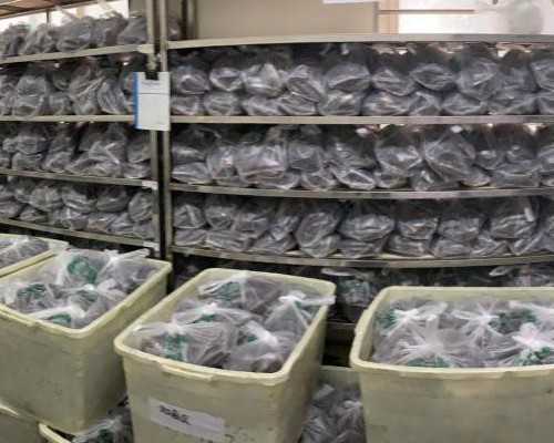 上海世纪试管助孕中心_广州世纪助孕,重庆靠谱的代生机构