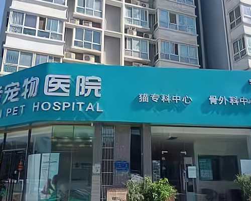 口碑好助孕包性别,2023宁波做试管捐卵费用明细揭晓,爱心助孕6年减免费用340万