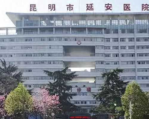 备孕期绿豆排骨的营养价值与烹饪指南