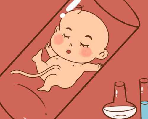 上海世纪助孕中心：专业医生与辅助生殖服务