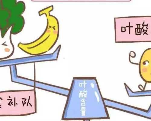 绝经女性供卵试管婴儿检查项目详解