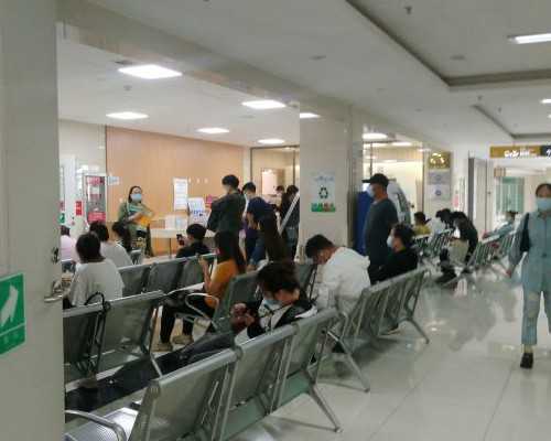 燕子与青蛙为大树理发的奇趣故事