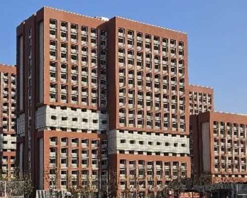 广州世纪助孕：重庆三代试管婴儿费用与失独家庭扶助政策解读