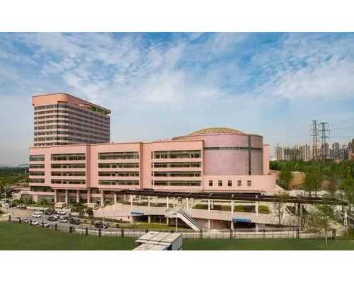 解析试管婴儿六胞胎的成功率：6个胚胎移植的成功机会