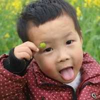 在广州哪里能做三代试管婴儿？你知道吗？