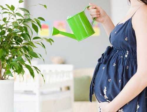 江苏代生中介电话 江苏省2020年计划生育政策 ‘孕10周b超可以看男女吗’