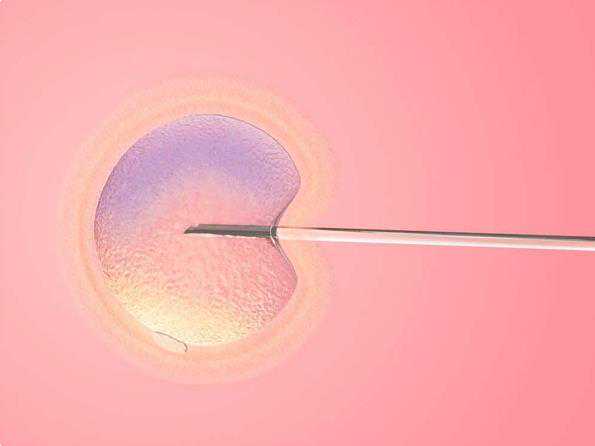 3天的冻胚在子宫内发生着床的详细过程是怎样的？